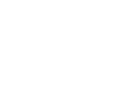 Evolution games at Rolletto Casino